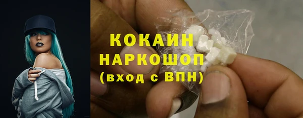 твердый Заводоуковск