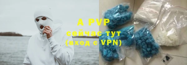 твердый Заводоуковск