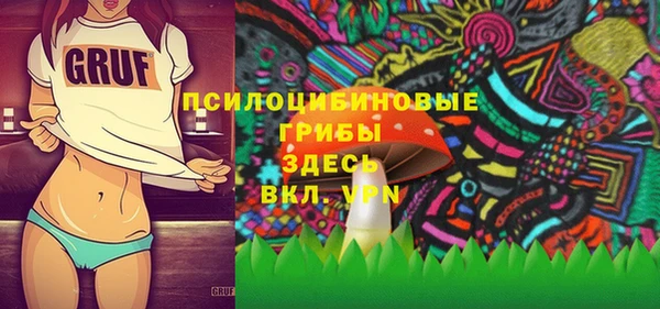 гашик Заволжье