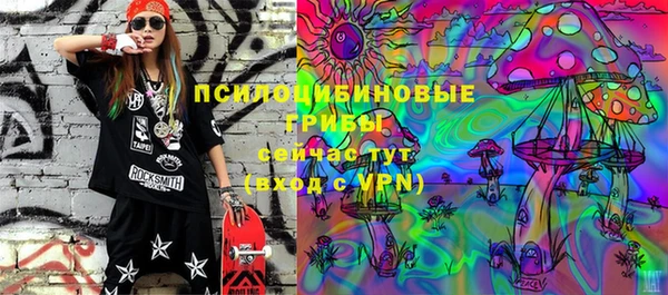 твердый Заводоуковск
