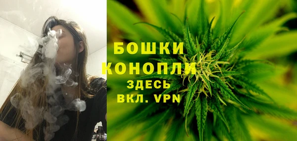 гашик Заволжье