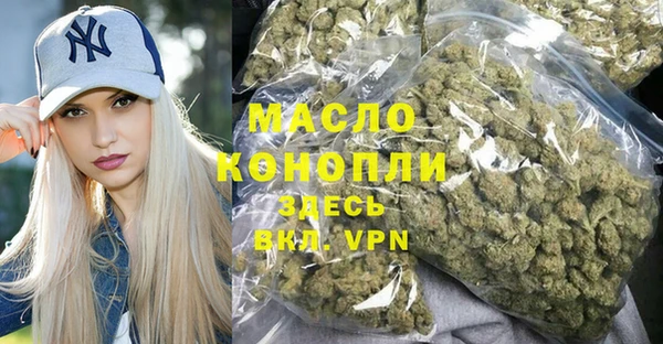 твердый Заводоуковск