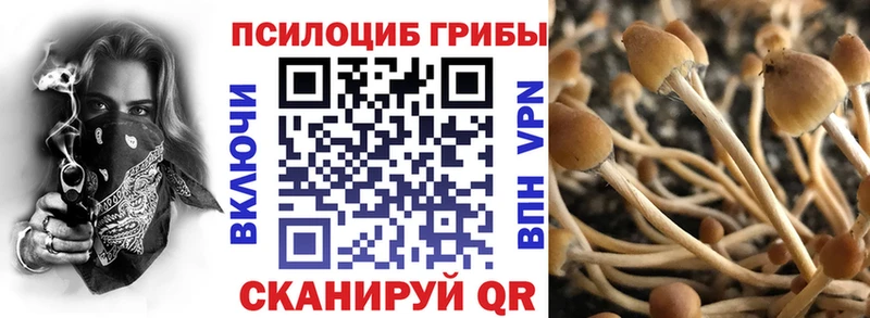 Купить закладки  Слободской  Псилоцибиновые грибы Magic Shrooms 